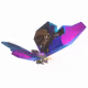 14446