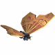 20295
