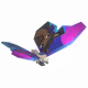 5557