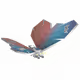24595