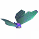 815