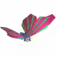 6764