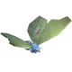29079