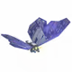 26546