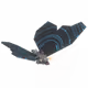 20306