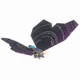 25255