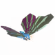 24676