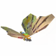 20833
