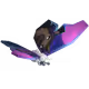 21549