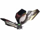 17548