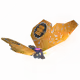 5699