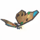 20779