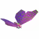25163