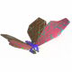 26029