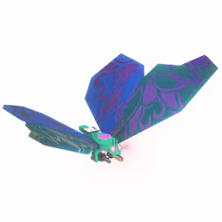 24019