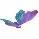 28034