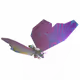 28029