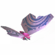 27753