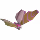 20052