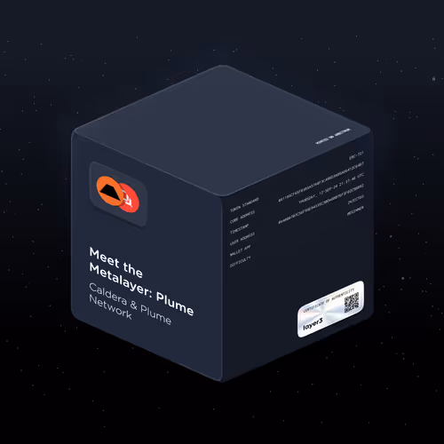 Meet the Metalayer: Plume