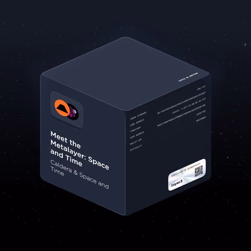 Meet the Metalayer: Space and Time