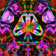 51117421357665924441405048379114755491346158154575365321561666996051063603415