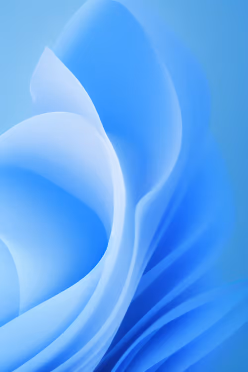 Item #45 Media