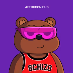 Schizo Sybil #1084