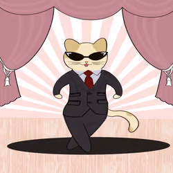 The Beats of Cats #2009