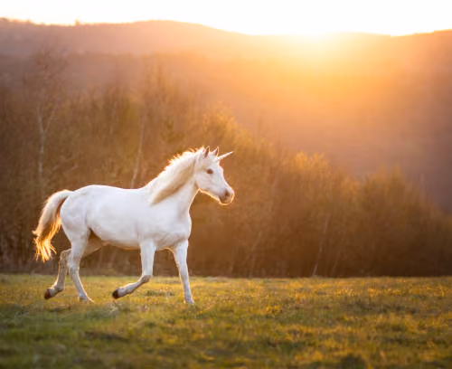 istockphoto-1322819264-612x612
