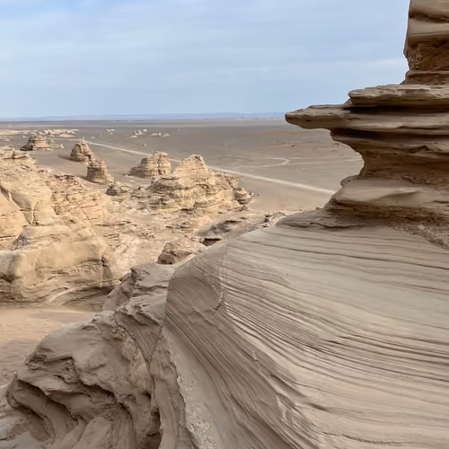 earth without human #0