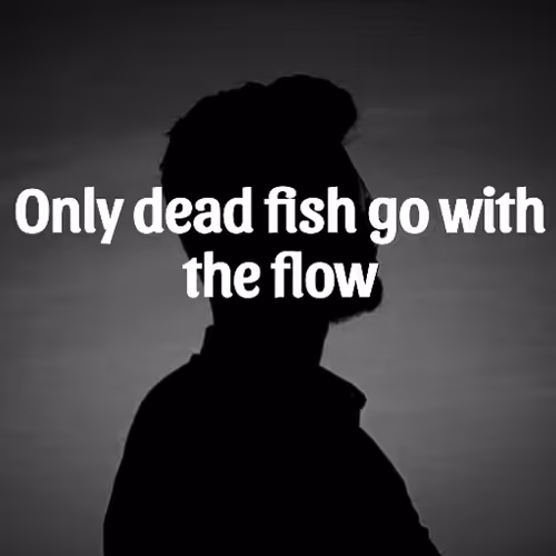 Item #109039237546499161846386852123602334778211269145659629468954041333678613801560 Media