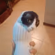 wtf