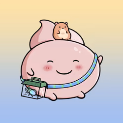 3427