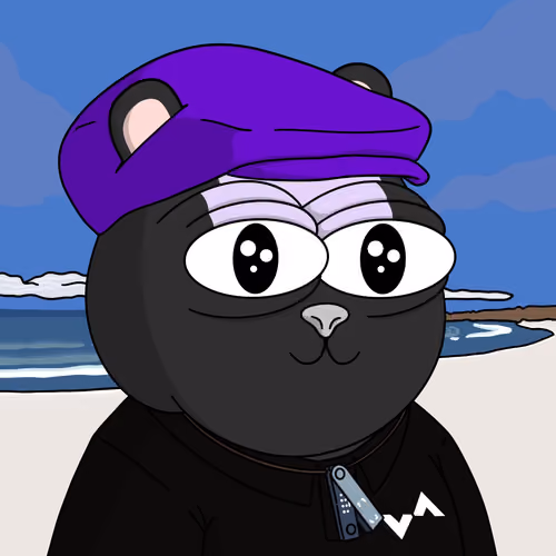 Vol Surfer #1276
