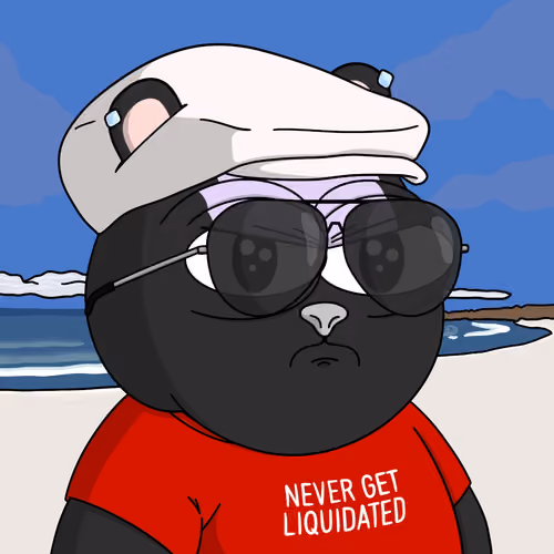 Vol Surfer #1228