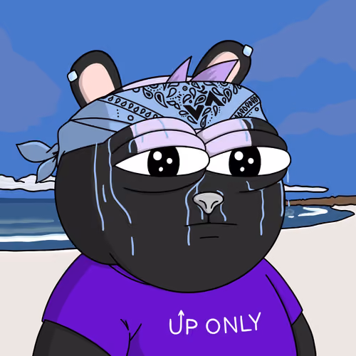 Vol Surfer #3176