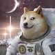 Dog to the moon
