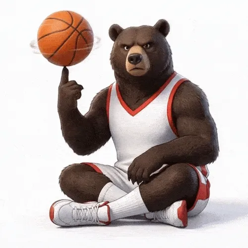Basket Bera 