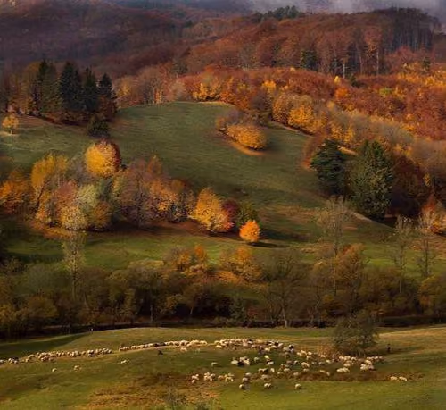 scenery