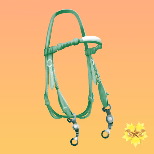 Item #31 Media
