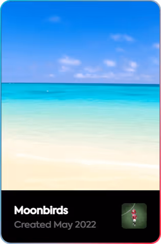 Moonbirds - 6LP6lfcpwQ