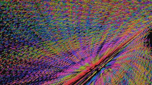 Item #293000055 Media