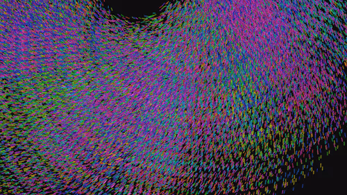 Item #293000005 Media