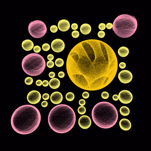 Item #277000020 Media