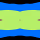 217000013