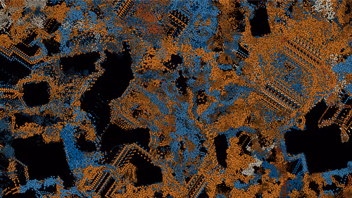 Item #199000015 Media