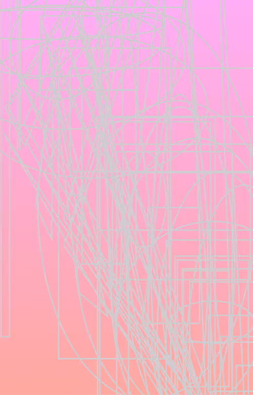 Item #25000003 Media