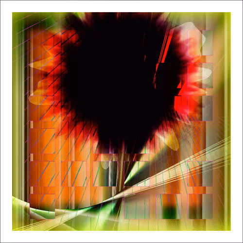 Item #14000014 Media