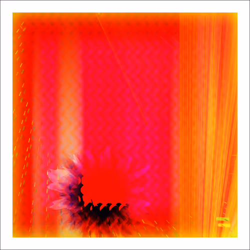 Item #14000086 Media